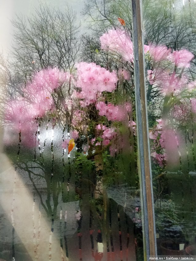 Прогулка в весну — Туризм и путешествия: фотоотчеты из поездок (фото 5)