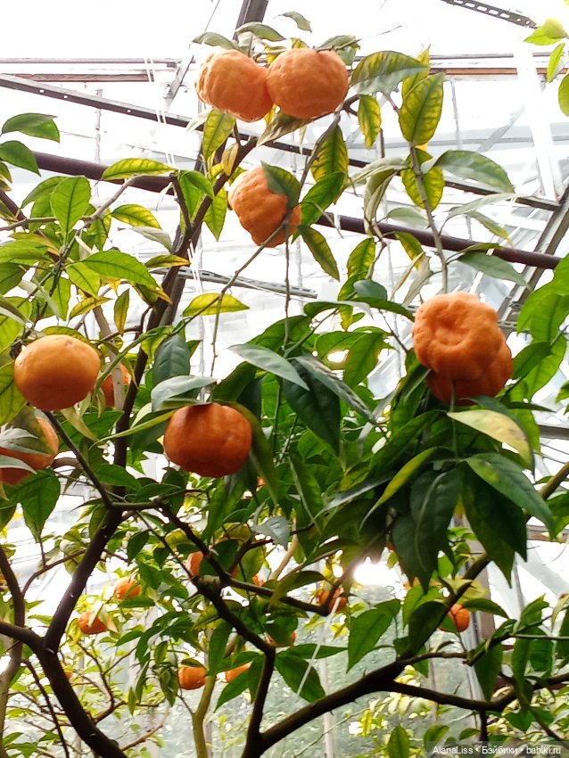 Прогулка в весну — Туризм и путешествия: фотоотчеты из поездок