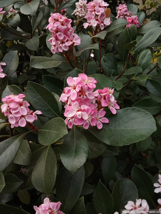 Прогулка в весну — Туризм и путешествия: фотоотчеты из поездок