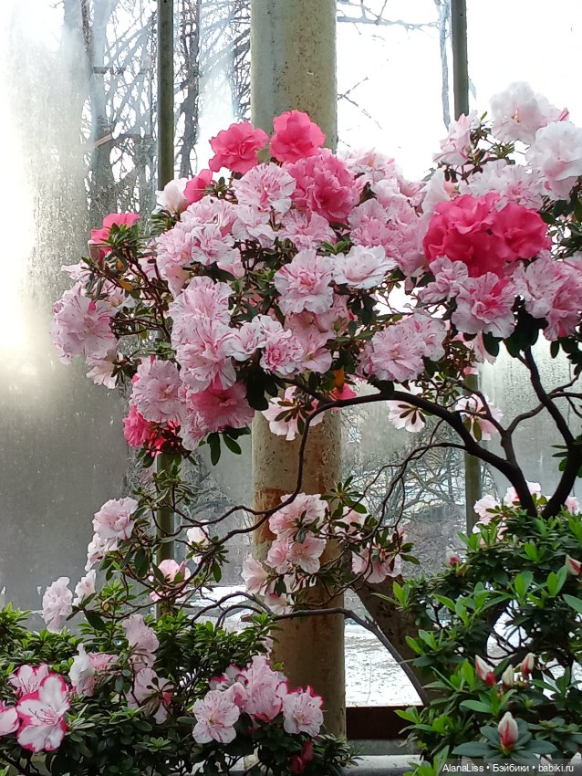 Прогулка в весну — Туризм и путешествия: фотоотчеты из поездок