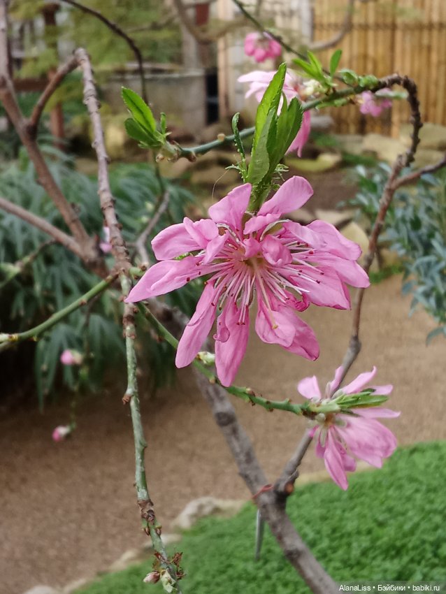 Прогулка в весну — Туризм и путешествия: фотоотчеты из поездок