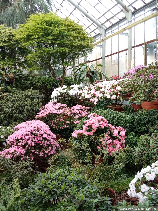 Прогулка в весну — Туризм и путешествия: фотоотчеты из поездок