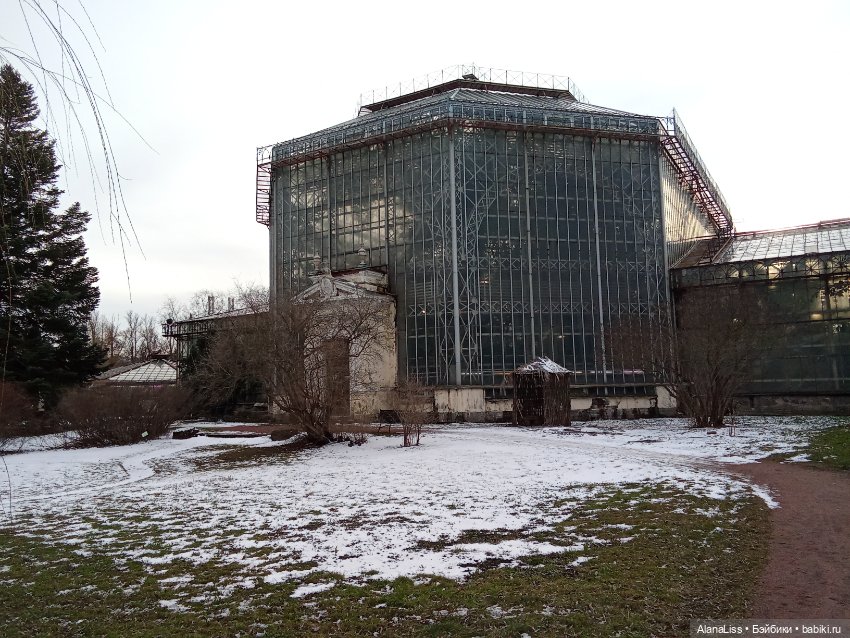 Прогулка в весну — Туризм и путешествия: фотоотчеты из поездок (фото 6)