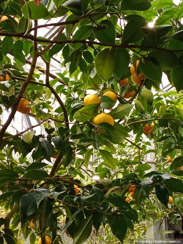 Прогулка в весну — Туризм и путешествия: фотоотчеты из поездок