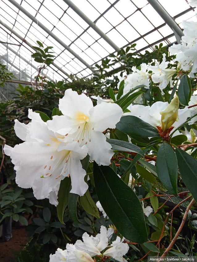 Прогулка в весну — Туризм и путешествия: фотоотчеты из поездок