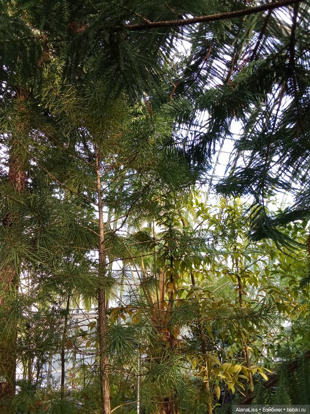 Прогулка в весну — Туризм и путешествия: фотоотчеты из поездок (фото 8)