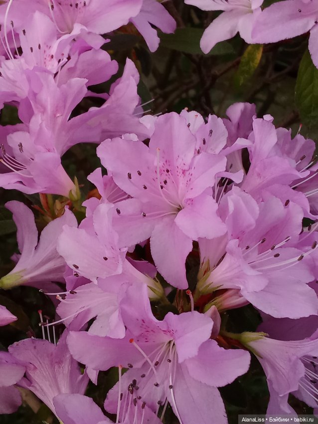 Прогулка в весну — Туризм и путешествия: фотоотчеты из поездок