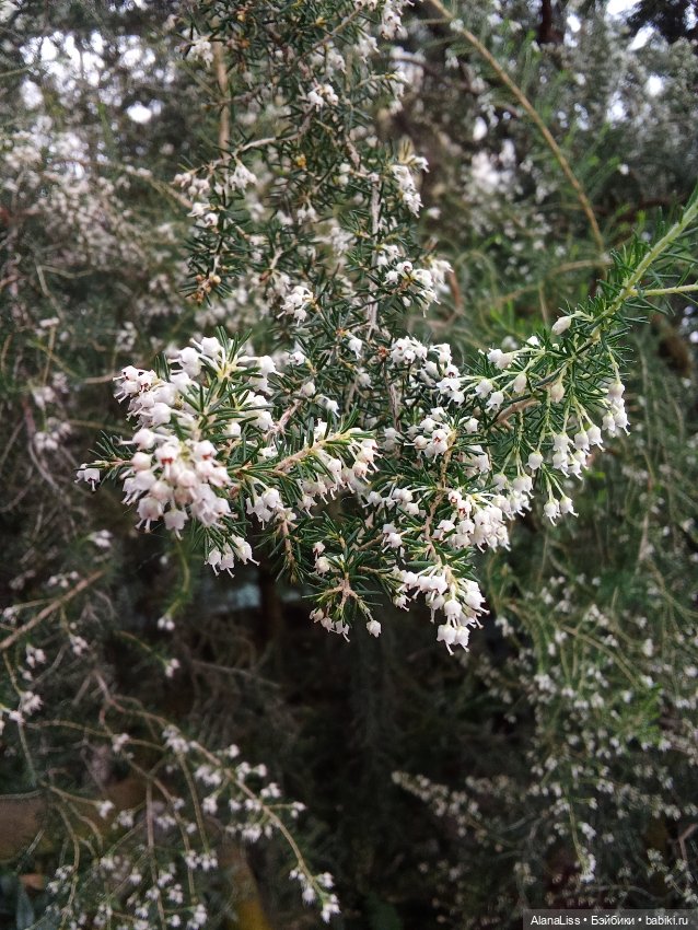 Прогулка в весну — Туризм и путешествия: фотоотчеты из поездок