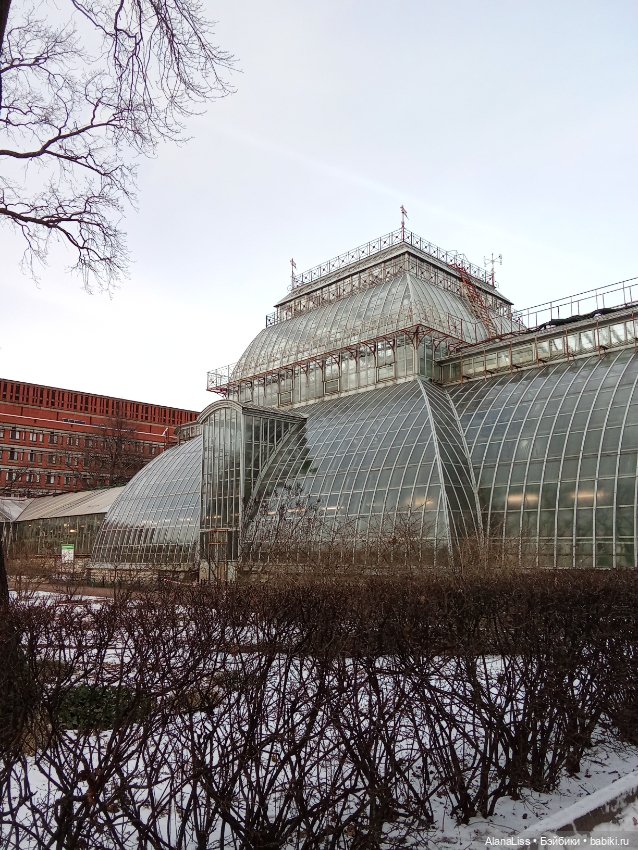 Прогулка в весну — Туризм и путешествия: фотоотчеты из поездок (фото 7)