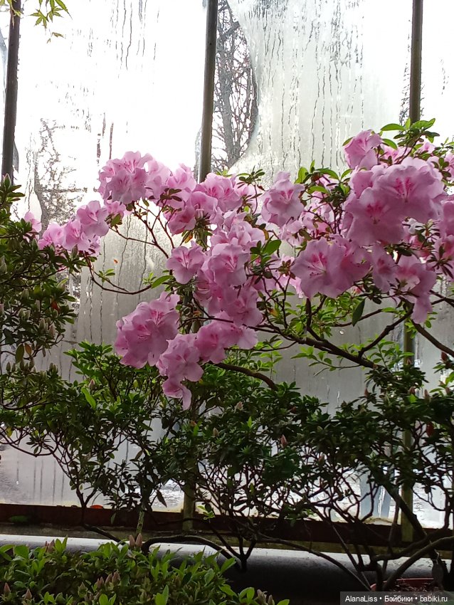 Прогулка в весну — Туризм и путешествия: фотоотчеты из поездок