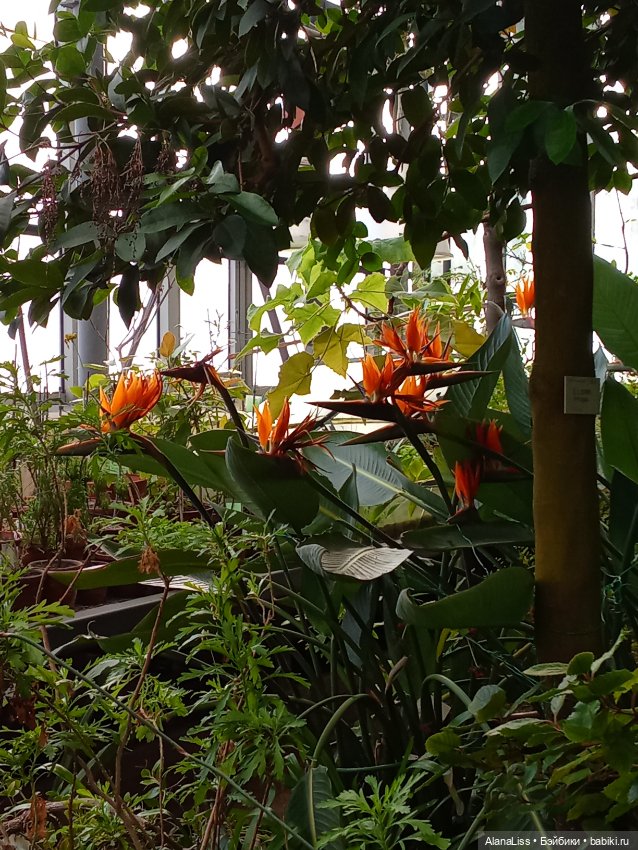 Прогулка в весну — Туризм и путешествия: фотоотчеты из поездок