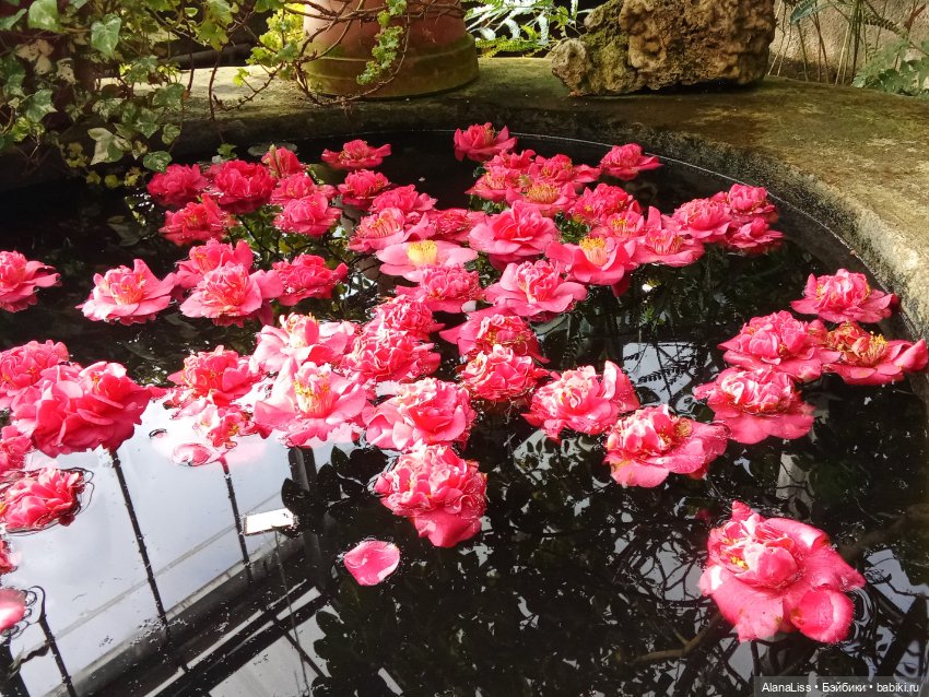 Прогулка в весну — Туризм и путешествия: фотоотчеты из поездок