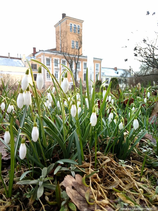 Прогулка в весну — Туризм и путешествия: фотоотчеты из поездок