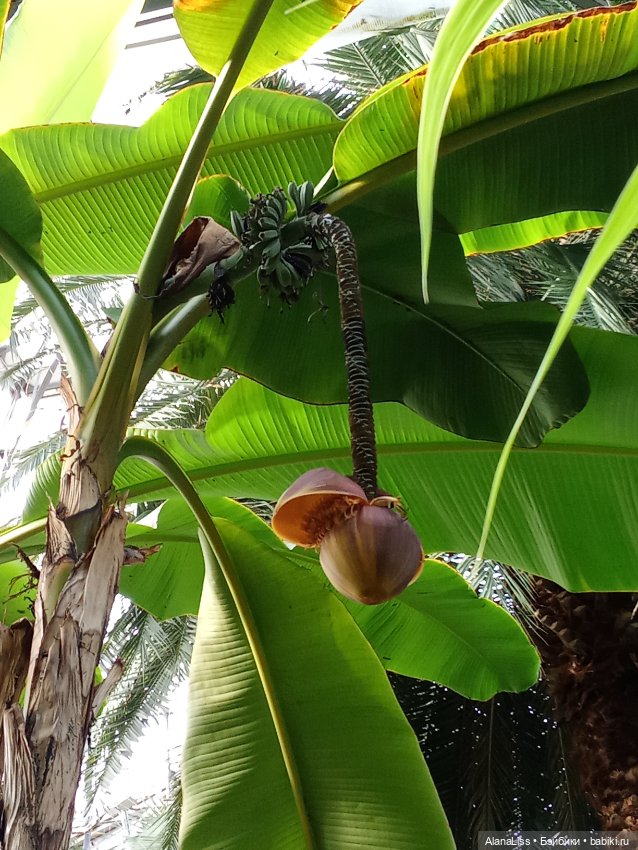 Прогулка в весну — Туризм и путешествия: фотоотчеты из поездок (фото 9)