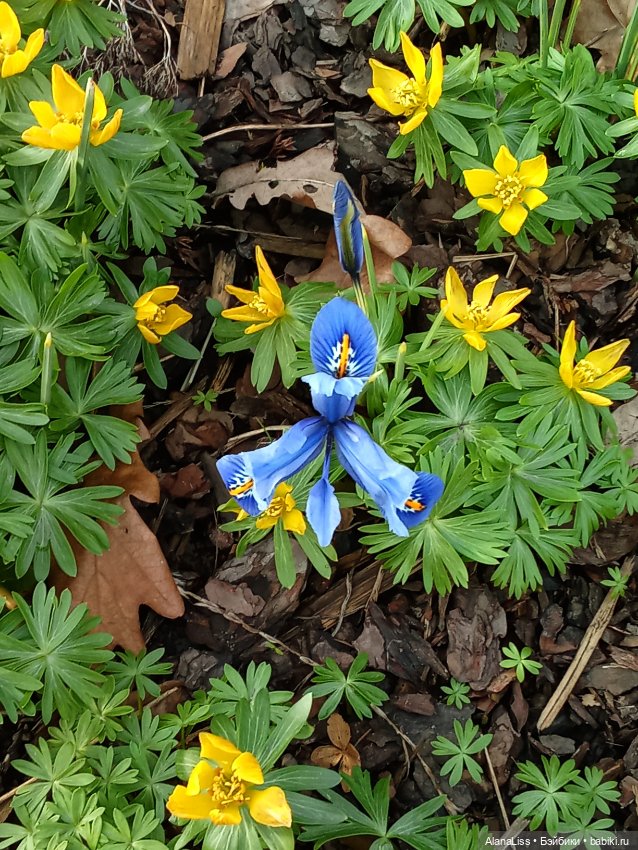 Прогулка в весну — Туризм и путешествия: фотоотчеты из поездок