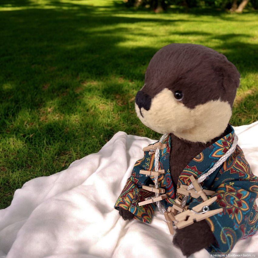 Её выдрейшество - Тедди Афина Игнатьевна