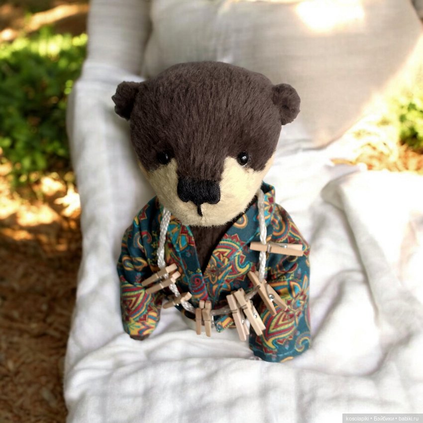 Её выдрейшество - Тедди Афина Игнатьевна (фото 2)