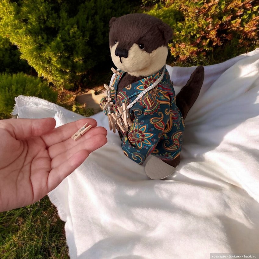 Её выдрейшество - Тедди Афина Игнатьевна (фото 4)