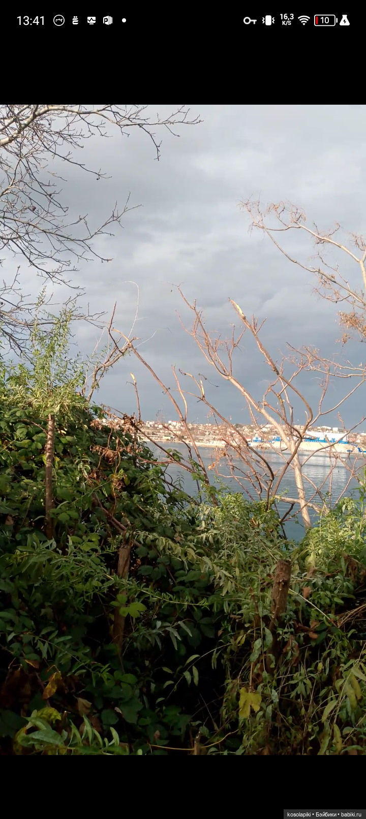 Севастопольская выдра🦦 — Авторские мишки Тедди и друзья: фото (фото 6)