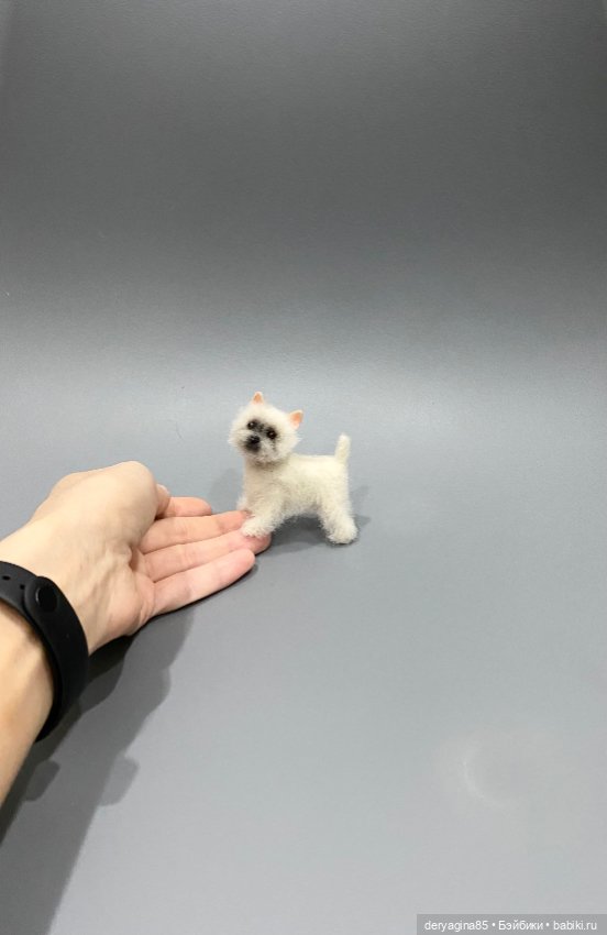 Вест Хайленд Уайт терьер — Валяные игрушки из шерсти: сухое валяние