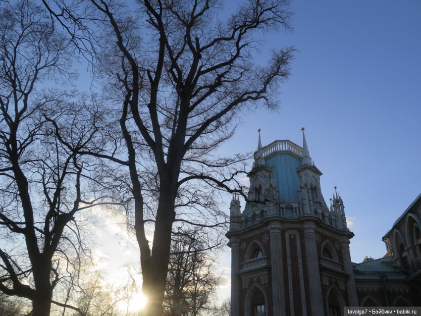 Девочка-кошечка из клана Blythe Littlest Pet Shop (фото 7)