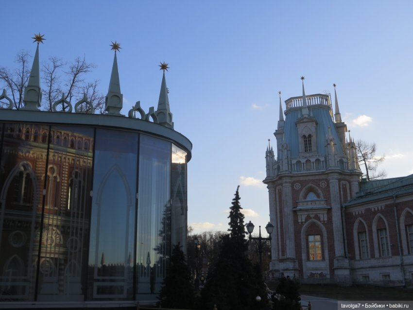 Девочка-кошечка из клана Blythe Littlest Pet Shop (фото 5)