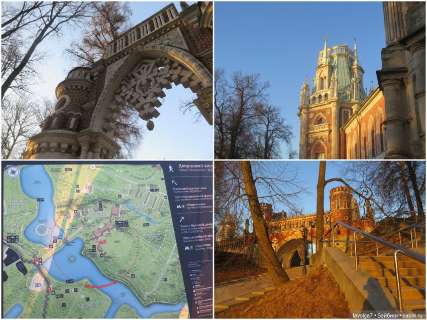 Девочка-кошечка из клана Blythe Littlest Pet Shop