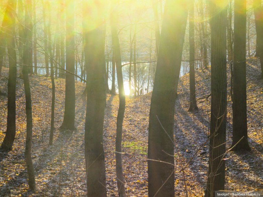 Девочка-кошечка из клана Blythe Littlest Pet Shop (фото 9)