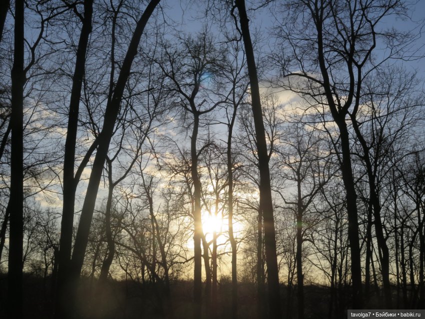 Девочка-кошечка из клана Blythe Littlest Pet Shop (фото 10)