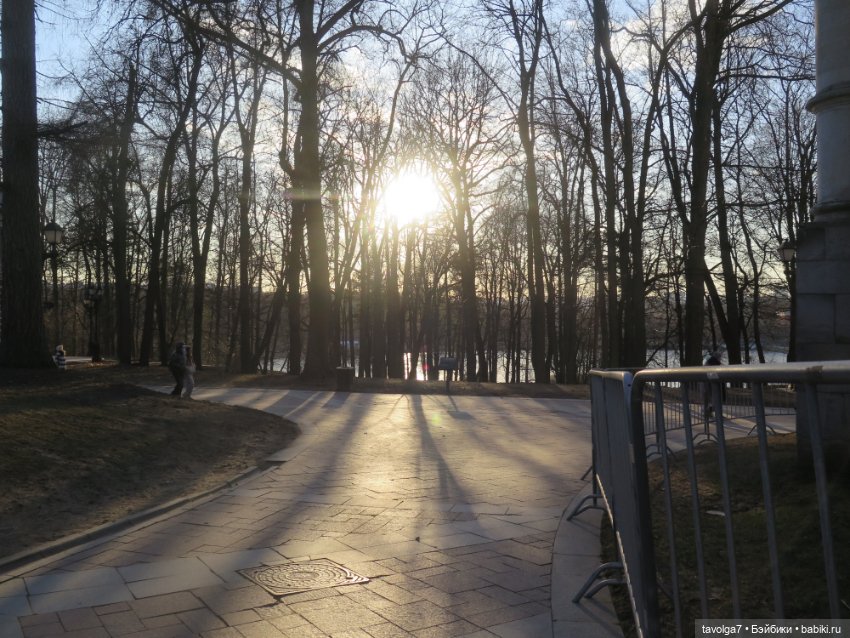 Девочка-кошечка из клана Blythe Littlest Pet Shop (фото 8)