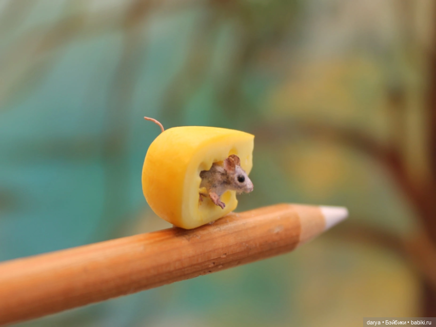 Масштаб 1:12. Мастер Кэти Дока (фото 4)