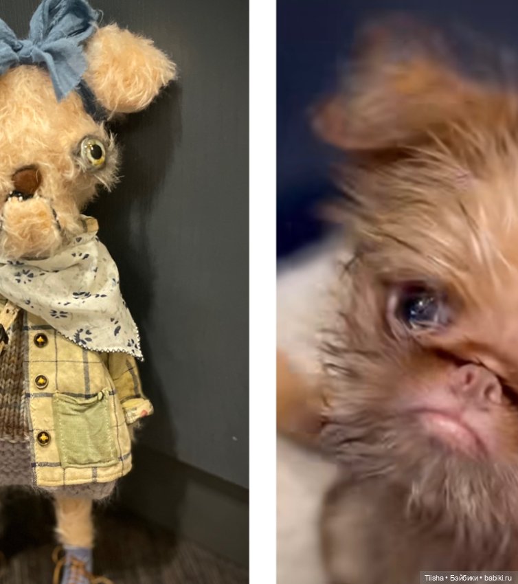 Моя хорошая и странная Гриффи