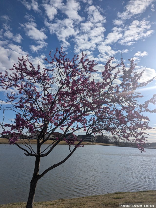 Для поднятия настроения! Наши любимые Химки