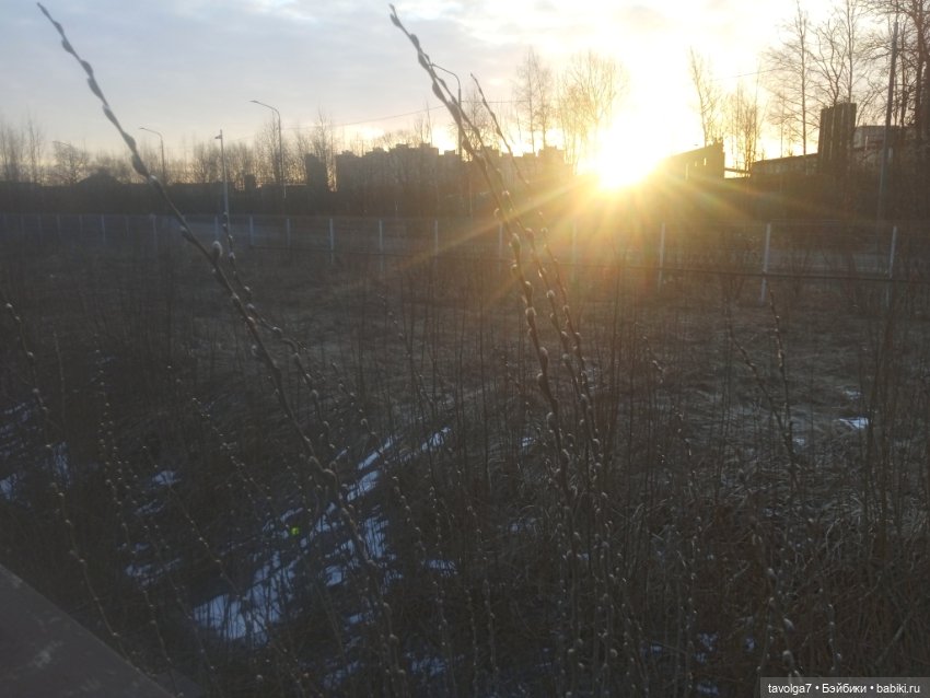 Остара — Туризм и путешествия: фотоотчеты из поездок (фото 7)