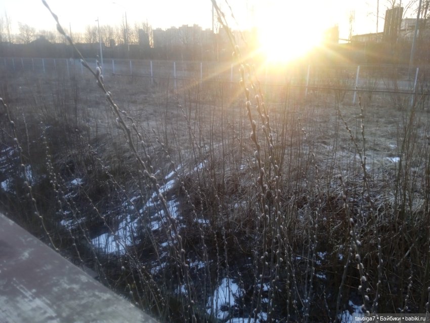 Остара — Туризм и путешествия: фотоотчеты из поездок (фото 8)