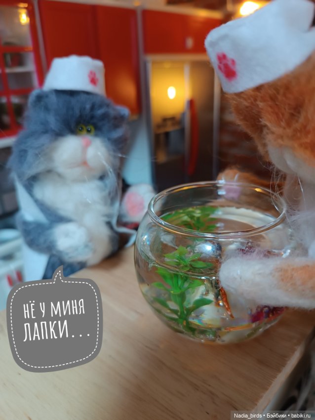 Рыбный день в кафе "Кошачья лапка"