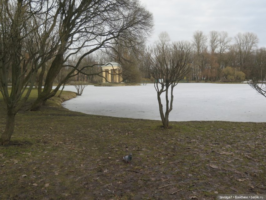 Catrinas Underworld и снова Питер