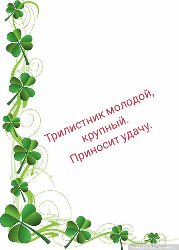 Подруга ветра и Буря в стакане