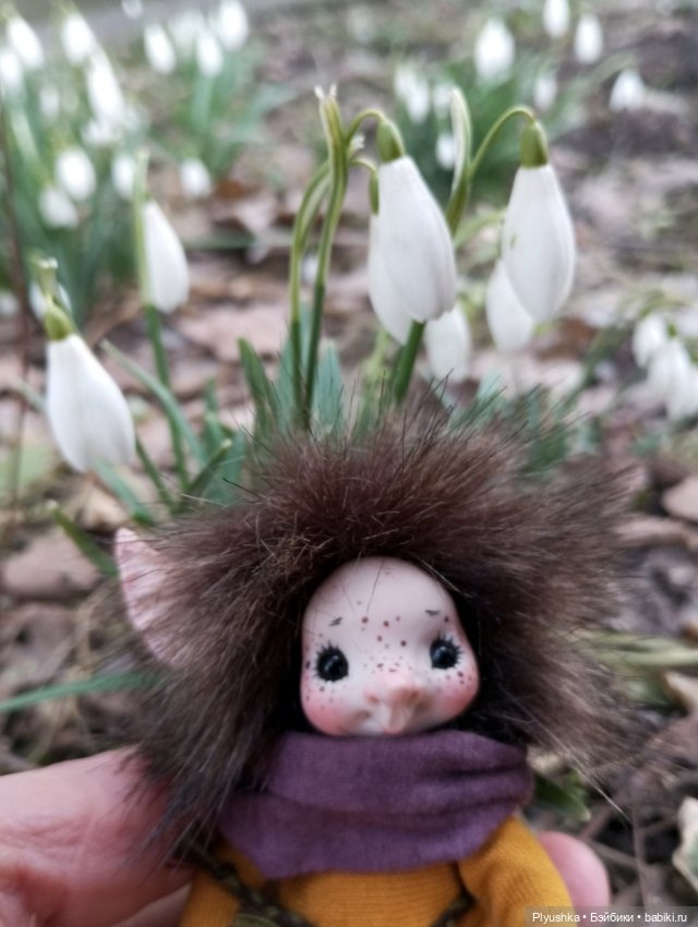 Ура! Аука приехала — Домашние фото авторских кукол: личные коллекции (фото 6)