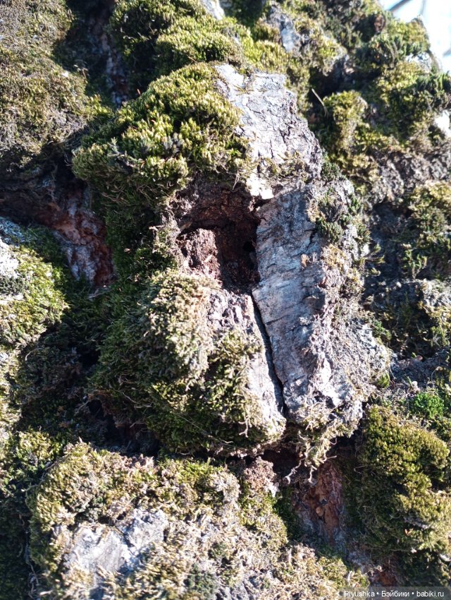 Ура! Аука приехала — Домашние фото авторских кукол: личные коллекции