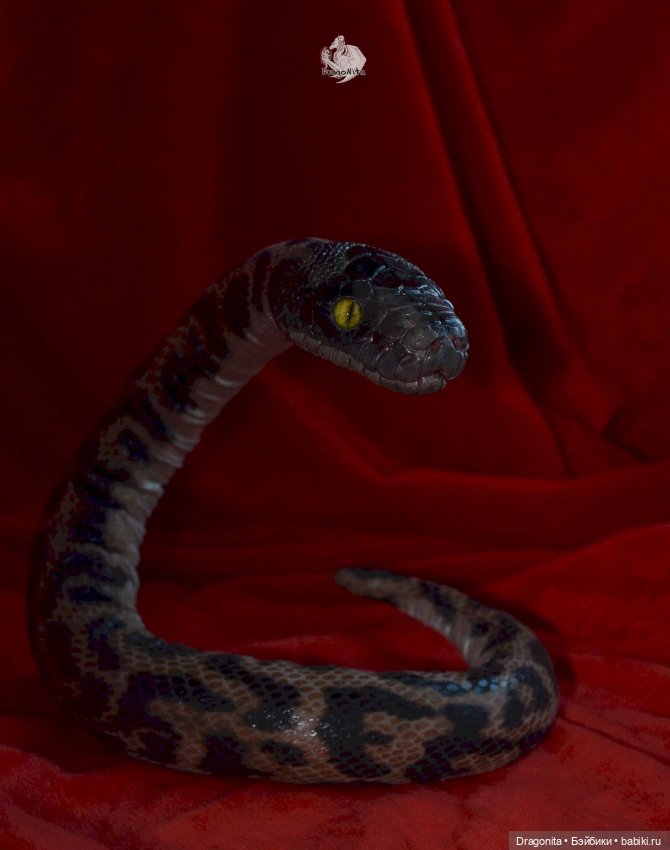 Питон Супчик — Авторские портретные куклы по фото: галерея работ (фото 3)