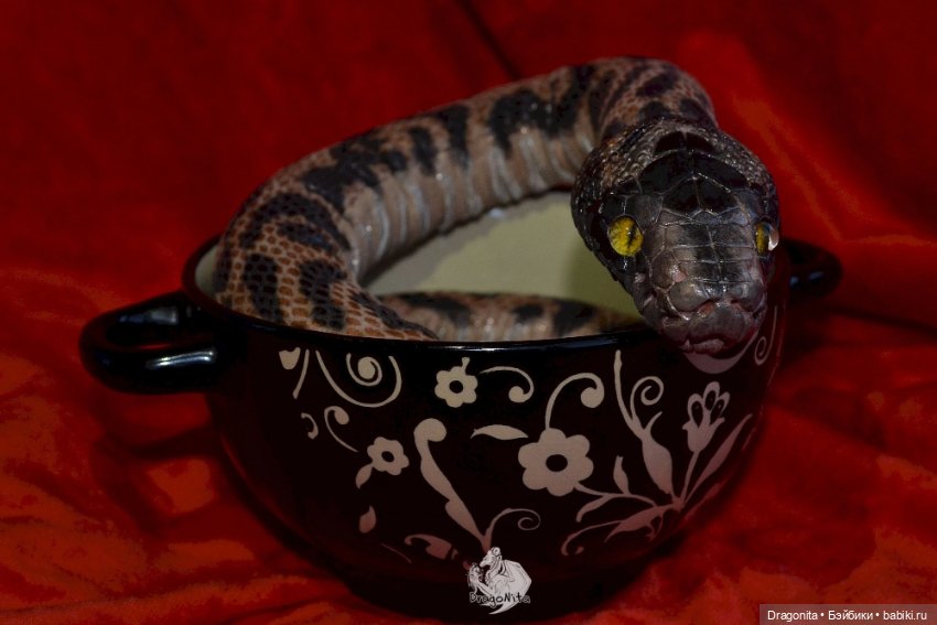 Питон Супчик — Авторские портретные куклы по фото: галерея работ (фото 10)