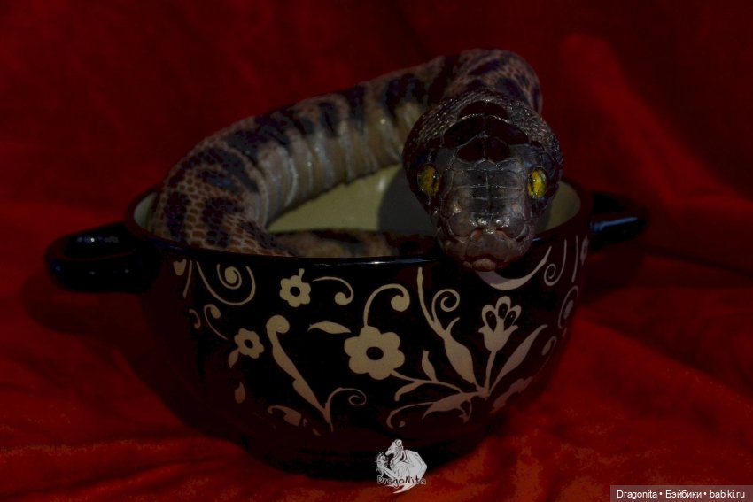 Питон Супчик — Авторские портретные куклы по фото: галерея работ (фото 9)