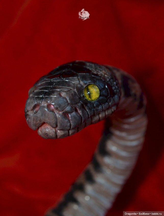 Питон Супчик — Авторские портретные куклы по фото: галерея работ