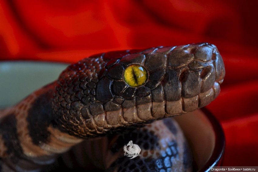 Питон Супчик — Авторские портретные куклы по фото: галерея работ (фото 6)