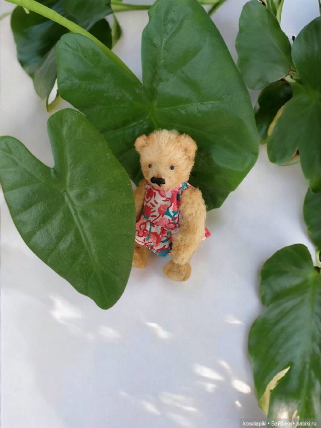 Тедди - магия. Творчество? Дисциплина? Или что-то ещё (фото 3)