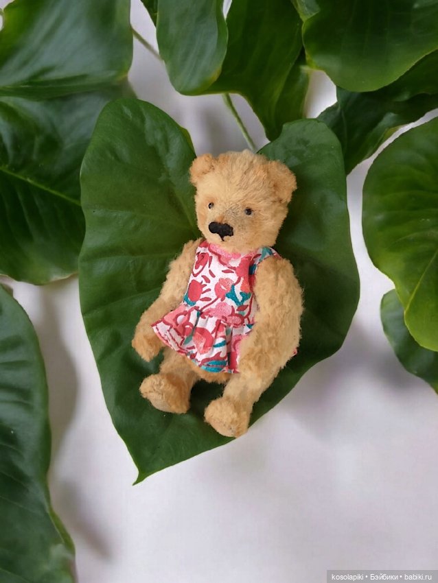 Тедди - магия. Творчество? Дисциплина? Или что-то ещё