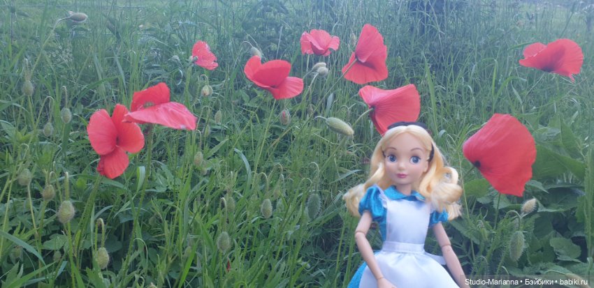 Алиса Дисней — Куклы Disney Animators и Принцессы Диснея: Disney Store