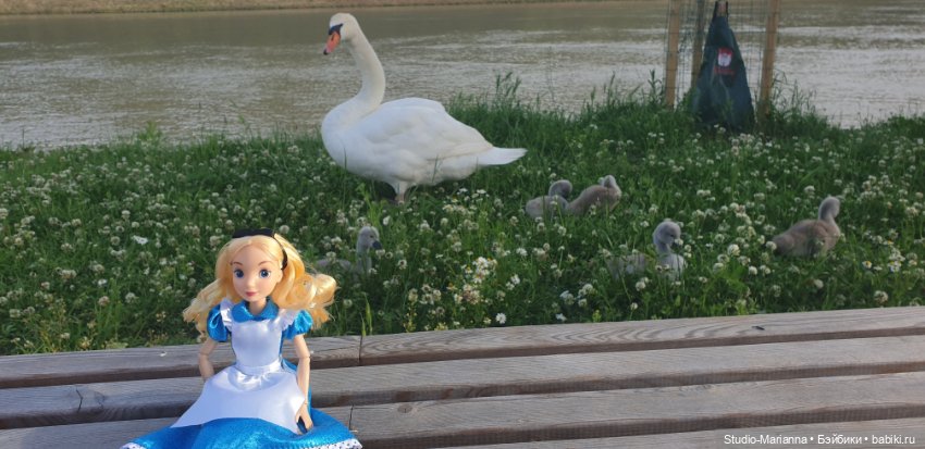 Алиса Дисней — Куклы Disney Animators и Принцессы Диснея: Disney Store