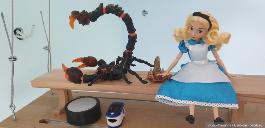 Алиса Дисней — Куклы Disney Animators и Принцессы Диснея: Disney Store (фото 2)